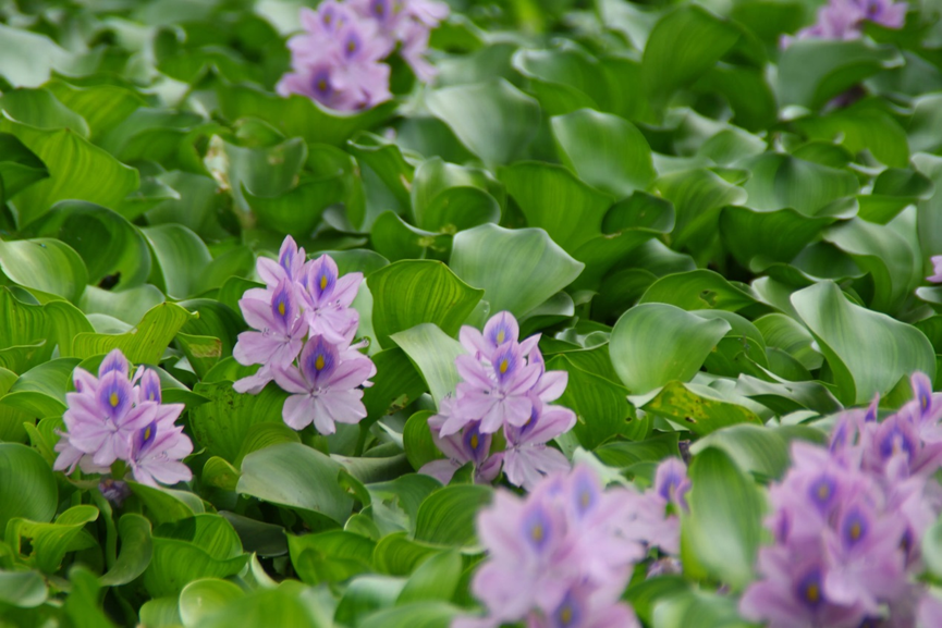 1659598710168966.png 1659598710168966.png