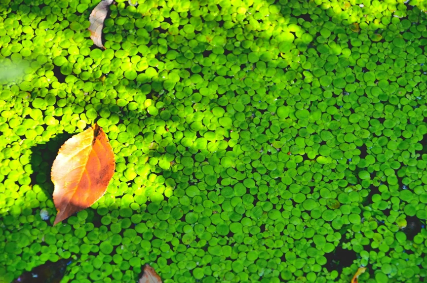 1659598719674151.png 1659598719674151.png