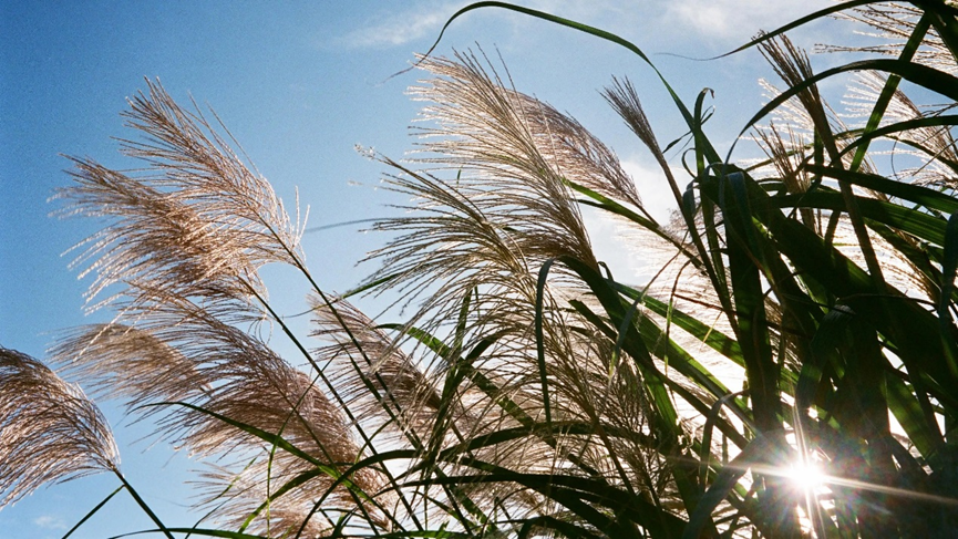 1659598729101647.png 1659598729101647.png