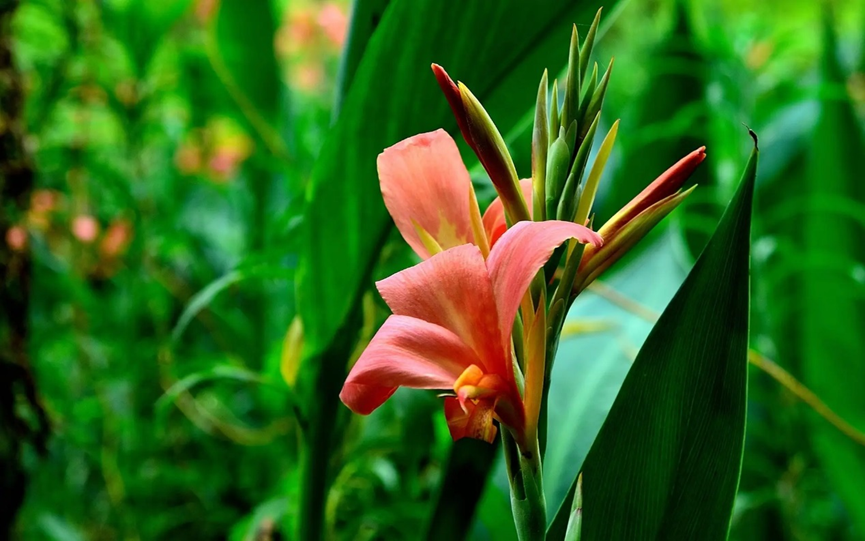 1659598736565577.png 1659598736565577.png