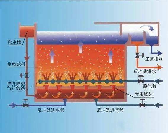 BAF工藝流程圖 BAF工藝流程圖