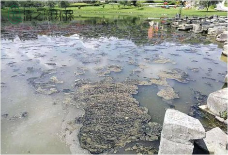 污水治理需要經(jīng)常測(cè)量和監(jiān)測(cè)哪些水污染指標(biāo) 污水治理需要經(jīng)常測(cè)量和監(jiān)測(cè)哪些水污染指標(biāo)