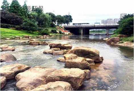 活性污泥法處理污水的工作原理，以及受哪些因素影響