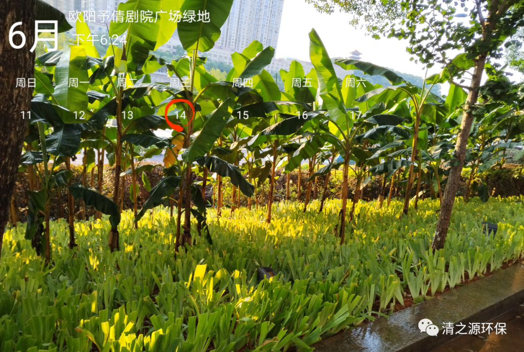 1693206784382340.png 640 (4).png