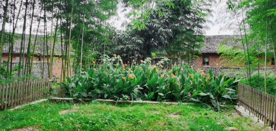 1700536482866428.png 圖片7.png