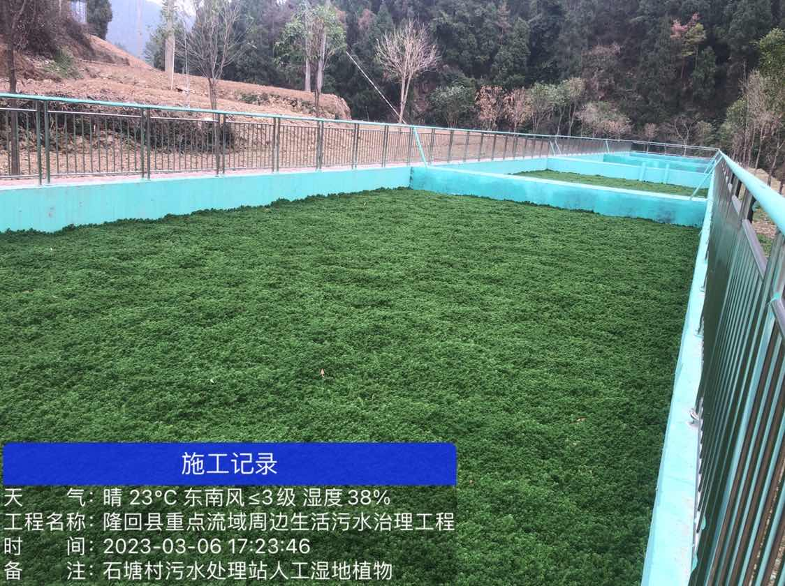 1700536661109923.png 圖片13.png