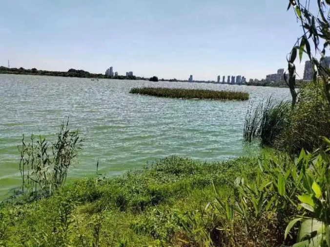 1721979970157781.png 微信截圖_20240726154432.png