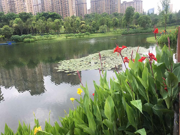 吉林省農(nóng)村生活污水排放標(biāo)準(zhǔn)