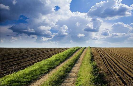 農(nóng)村環(huán)境治理中存在的問題有哪些？