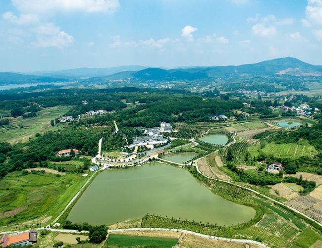 農村黑臭水體治理公司哪里的好？